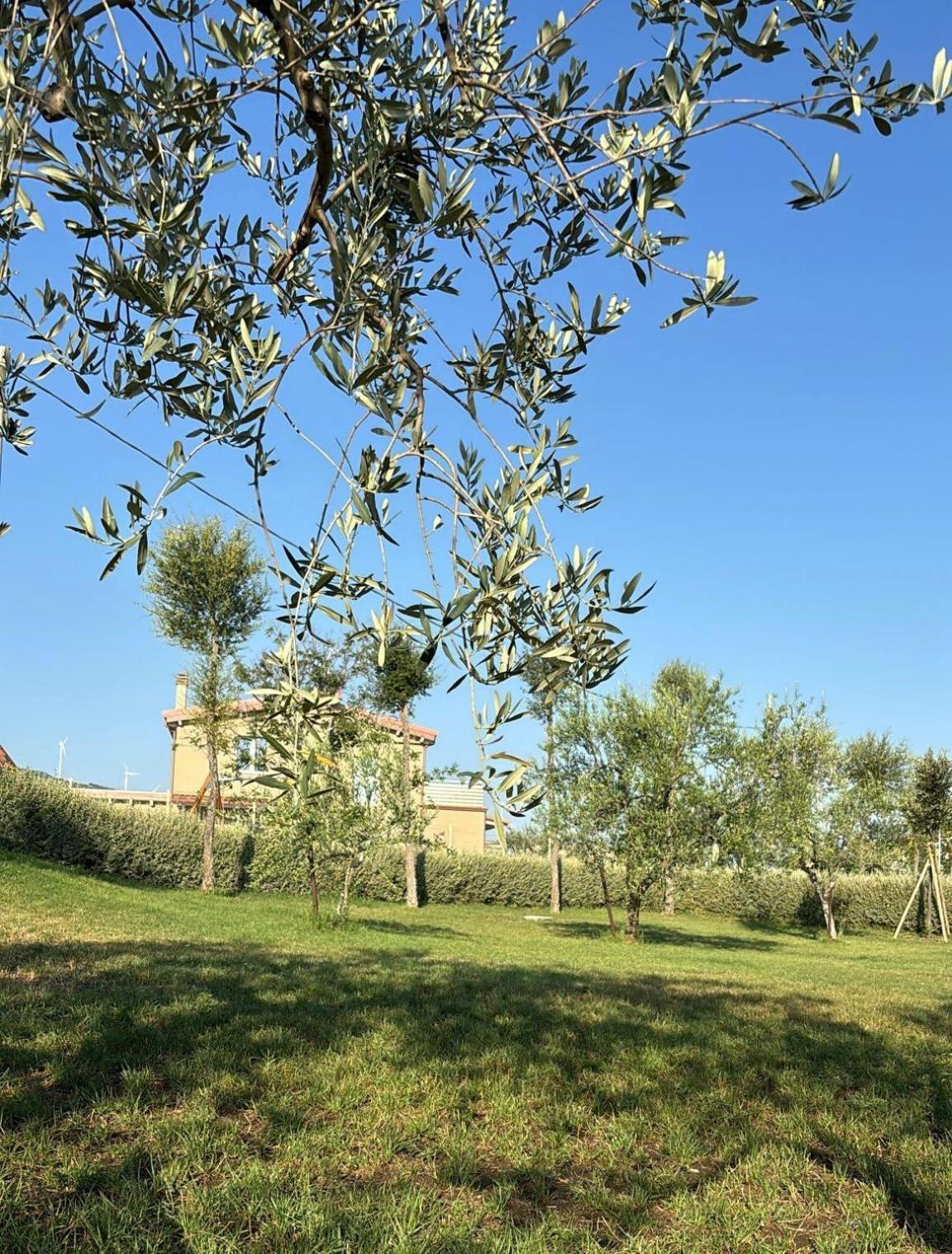 Masseria Spinale Wine Resort Melfi Eksteriør billede